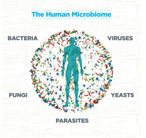 Man vs Microbiome